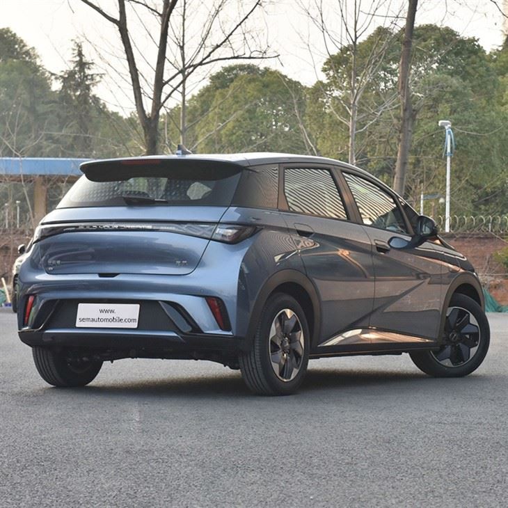 2024 BYD Dolphin  Minicar