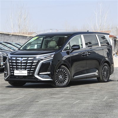 Byd Denza D9 MPV 2024