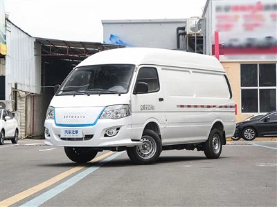 Skyworth D10 EV Micro Van