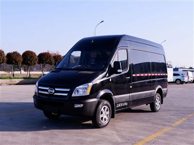 Skyworth D11 EV وسیله نقلیه مسافری سبک